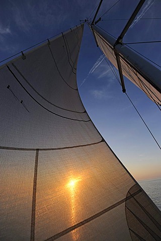 Sailing with no wind, sunset, IJsselmeer, Netherlands, Europe