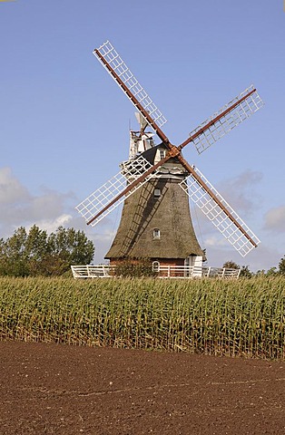 Windmill on Foehr island, North Frisian Islands, Schleswig-Holstein, Germany, Europe