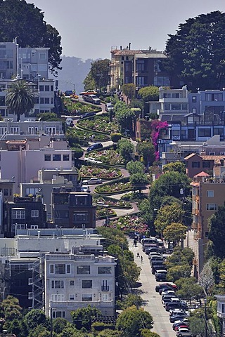 Lombard Street, the American street with the most curves, San Francisco, California, USA