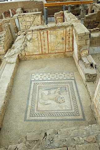 Mosaics, murals and frescoes in Terrace House 2 in Curetes Street, terraced houses, excavations, ruins of Ephesus, Efes, UNESCO World Heritage Site, Selcuk, Lycia, Southwest Turkey, West Coast, Western Turkey, Asia Minor