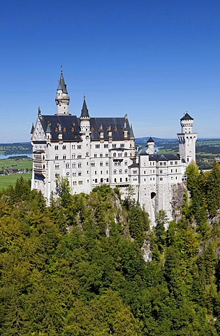 Schloss Neuschwanstein Castle, Allgaeu, Bavaria, Germany, Europe