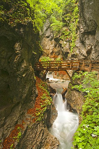 Stream in the Wolfsklamm gorge, Stans, Karwendel Mountains, Tyrol, Austria, Europe