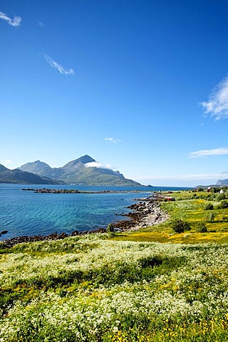 Nappstraumen Sound, Vestvagoy, Lofoten, Northern Norway, Norway, Scandinavia, Europe