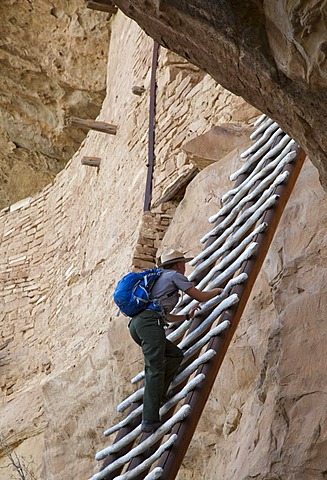 A park ranger climbs a ladder to enter the Balcony House cliff dwelling at Mesa Verde National Park, featuring cliff dwellings of ancestral Puebloans that are nearly a thousand years old, Cortez, Colorado, USA