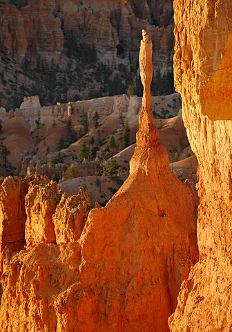 Rock formation, The Sentinel, morning light, Sunset Point, Bryce Canyon National Park, Utah, United States of America, USA