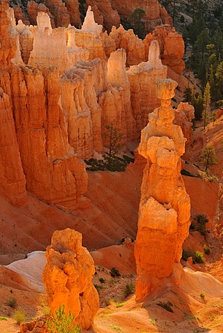 Rock formation, Thor's Hammer, morning light, Sunset Point, Bryce Canyon National Park, Utah, United States of America, USA