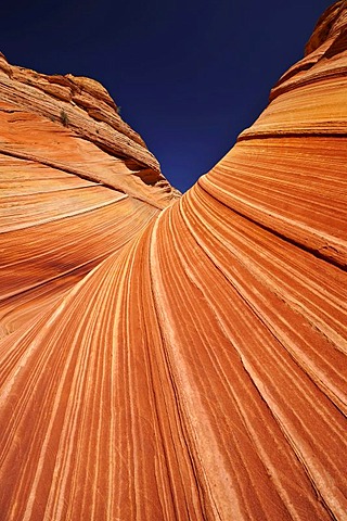 The Wave, banded eroded Navajo sandstone rocks with Liesegang Bands, Liesegangen Rings, or Liesegang Rings, North Coyote Buttes, Paria Canyon, Vermillion Cliffs National Monument, Arizona, Utah, USA