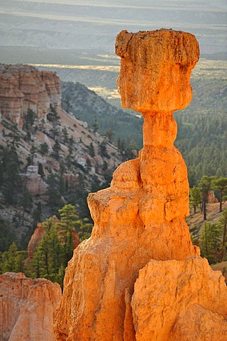 Thor's Hammer rock formation at sunrise, Sunset Point, Bryce Canyon National Park, Utah, United States of America, USA