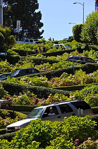 Cars and tourists on Lombard Street, San Francisco, California, United States of America, USA, PublicGround