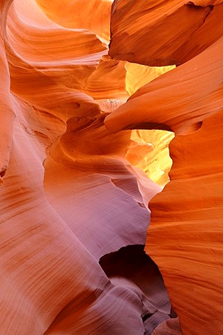 Red sandstone of the Moenkopi formation, rock formations, colours and textures in the Lower Antelope Slot Canyon, Page, Navajo Nation Reservation, Arizona, United States of America, USA