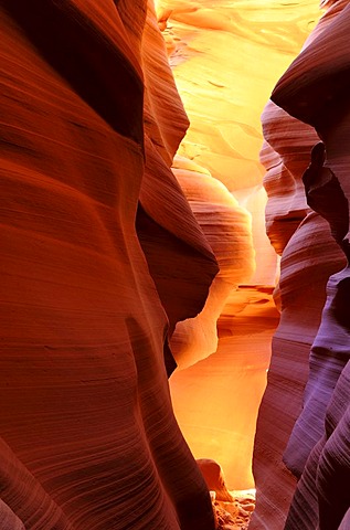 Red sandstone of the Moenkopi Formation, rock formations, colours and textures in the Lower Antelope Canyon, Page, Navajo National Reservation, Arizona, United States of America