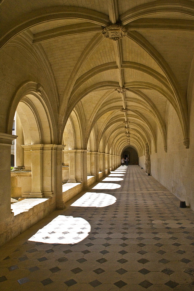 Medieval cloister, Abbaye de Fontevraud abbey, Aquitaine Romanesque, built from 1105 to 1160, Fontevraud-lÃ­Abbaye, Loire Valley near Saumur, Maine-et-Loire, France, Europe