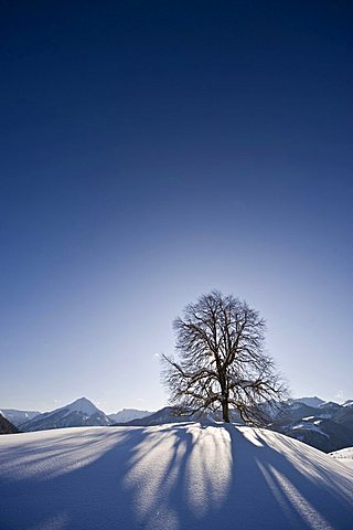 Snow-covered winter landscape, Achenkirch, Tyrol, Austria