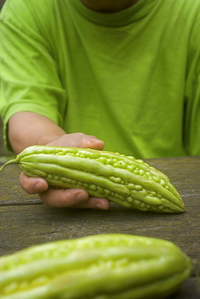 Bitter melons or bitter gourds (Momordica charantia)