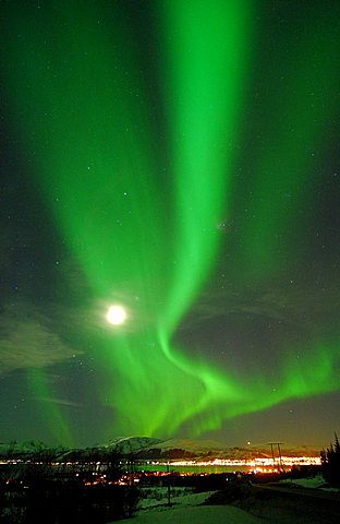 polar lights, Lofoten, Nordland, Norway