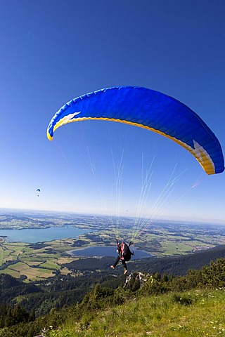 Paraglider, Tegelberg mountain, Forchensee and Bannwaldsee lakes, Allgaeu, Bavaria, Germany, Europe