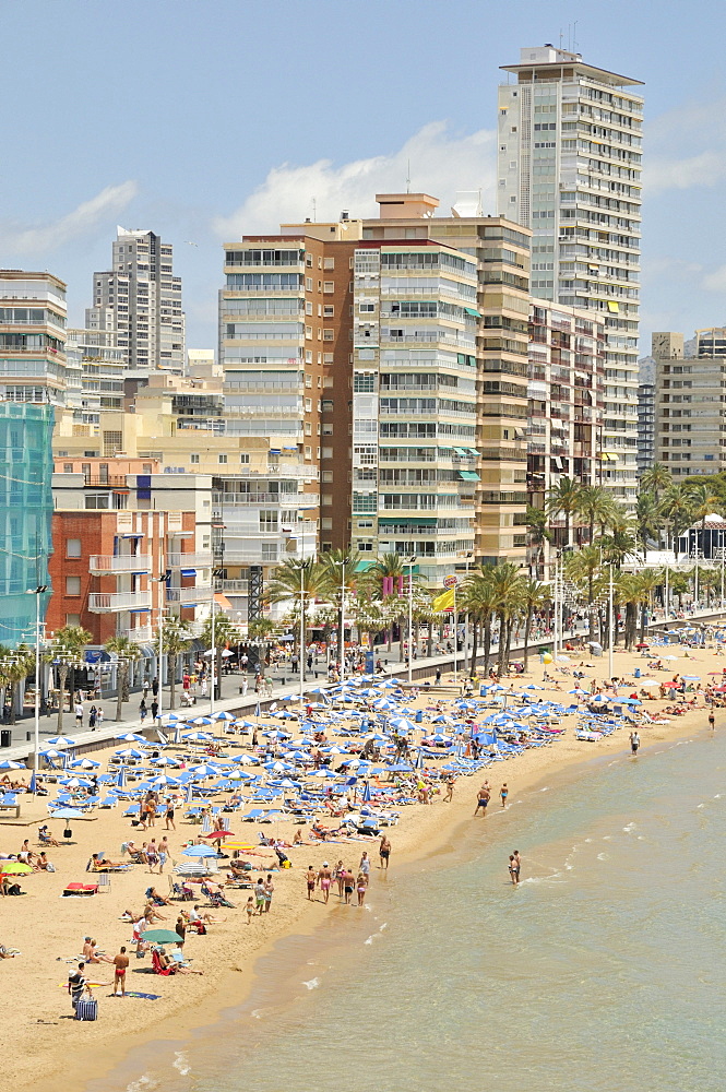 High-rise buildings on Playa Levante beach, Benidorm, Costa Blanca, Alicante, Spain, Europe