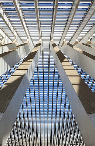 Detailed view of the roof of the station concourse, Gare de Liege-Guillemins railway station, architect Santiago Calatrava, Liege, Luik, Wallonia, Belgium, Europe