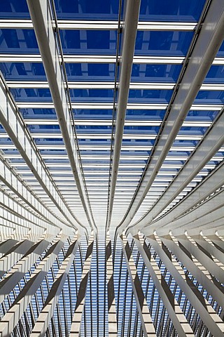 Roof detail of the concourse, Gare de Liege-Guillemin station by architect Santiago Calatrava, Liege, Wallonia or Walloon Region, Belgium, Europe