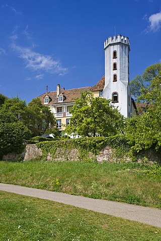 Slevogthof Neukastel manor, Leinsweiler, German Wine Route, Suedliche Weinstrasse district, Pfalz, Rhineland-Palatinate, Germany, Europe