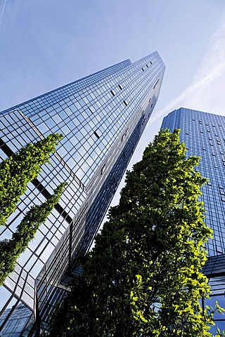 Deutsche Bank high-rise building, Frankfurt am Main, Hesse, Germany, Europe