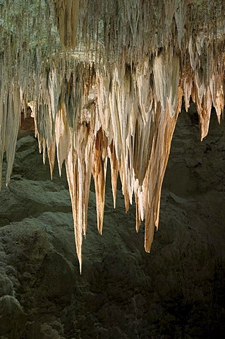 Chandelier, stalactite formation, Carlsbad Caverns National Park, New Mexico, USA