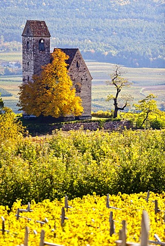 Castle church of St. Sebastian, Englar castle in Appiano, Eppan, province of Bolzano-Bozen, Italy, Europe