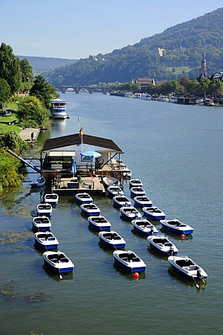 Boat rental at the Neckar river, Heidelberg, Neckar valley, Baden-Wuerttemberg, Germany, Europe