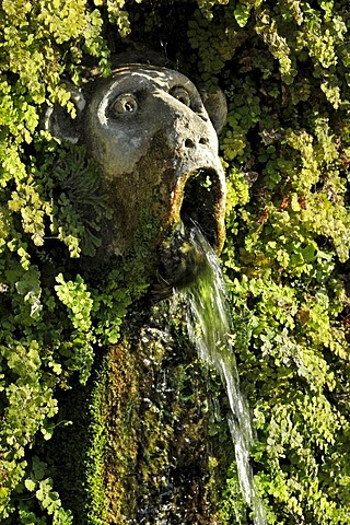 Gargoyle, Viale delle Cento Fontane or Alley of the Hundred Fountains, Garden of the Villa d'Este, UNESCO World Heritage Site, Tivoli, Lazio, Italy, Europe