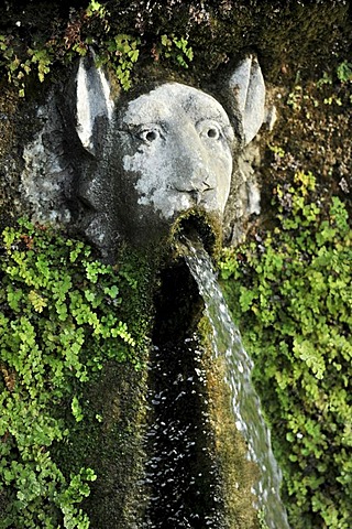 Gargoyle, Viale delle Cento Fontane or Alley of the Hundred Fountains, Garden of the Villa d'Este, UNESCO World Heritage Site, Tivoli, Lazio, Italy, Europe