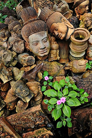 Flowers growing between old, weathered Buddha heads, Cambodia, Southeast Asia, Asia