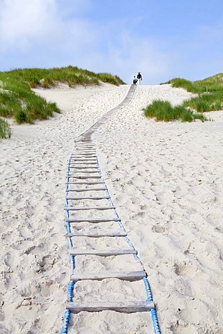 Pathway to the beach, Amrum Island, North Friesland, Schleswig-Holstein, Germany, Europe, PublicGround