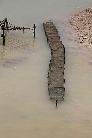 Fish farming in Xiamen Bay, Fujian Province, China, Asia