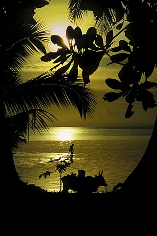 Sunset on the beach of St. Marie in the east of Madagascar, Africa, Indian Ocean