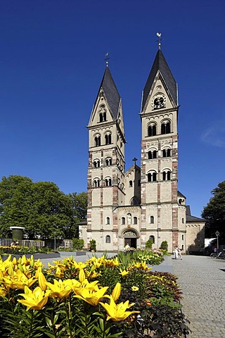 Basilika St Kastor basilica, church, Koblenz, Rhineland-Palatinate, Germany, Europe