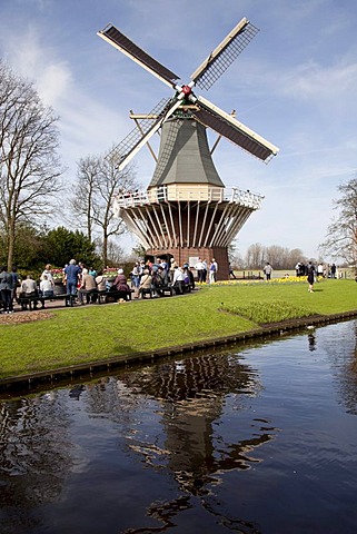 Windmill in the Keukenhof flower garden, Lisse, Netherlands, Europe