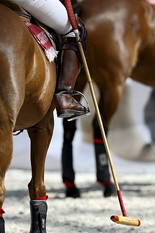 Polo player with mallet sitting on a horse, Airport Arena Polo Event 2010, Munich, Upper Bavaria, Bavaria, Germany, Europe