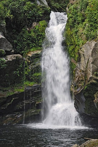 Wainui Falls, waterfall near Pohara, Golden Bay, South Island, New Zealand