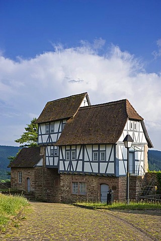 Castle gatehouse, Hirschhorn, Neckartal-Odenwald Nature Reserve, Hesse, Germany, Europe