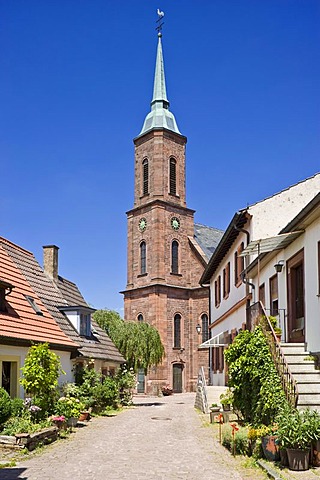 Catholic church of Sankt Bartholomaeus, Dilsberg district, Neckargemuend, Naturpark Neckar-Odenwald nature park, Odenwald, Baden-Wuerttemberg, Germany, Europe