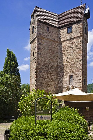 Powder Tower with Fischerbrunnen fountain, Eberbach am Neckar, Baden-Wuerttemberg, Germany, Europe