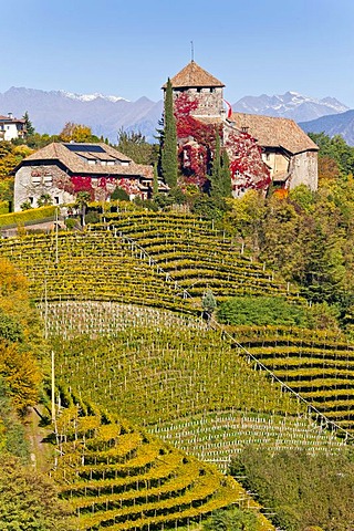 Warth Castle in front of the Texel Group Mountains, Appiano on the Wine Route, Alto Adige, Italy, Europe