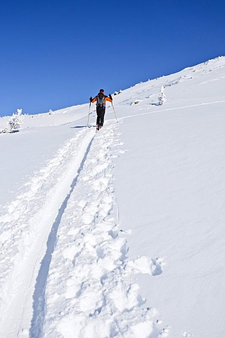 Ascent to Morgenrast Mountain from Unterreinswald, Sarntal Valley, Alto Adige, Italy, Europe