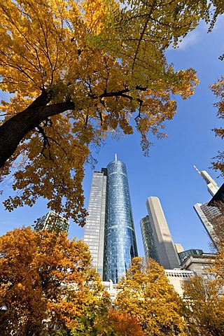 ECB, European Central Bank, Helaba Hessische Landesbank, Commerzbank Tower and Japan Tower in autumn, Frankfurt am Main, Hesse, Germany, Europe