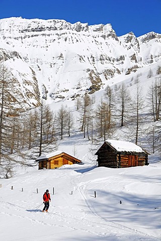 Skiers descending, Grosse Fleisstal valley near Heiligenblut, National Park Hohe Tauern, Carinthia, Austria, Europe