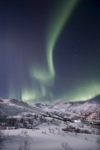 Northern lights, aurora borealis, Austnesfjorden, Island of AustvÂgoya, Lofoten Islands, Northern Norway, Norway, Europe