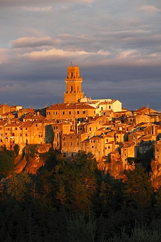 View over olive branches on the town in evening light with tower of the cathedral Santi Pietro e Paolo, Pitigliano, Maremma, Province Grosseto, Tuscany, Italy, Europe