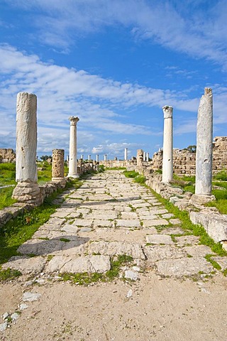 Roman archaeological site of Salamis, Turkish part of Cyprus