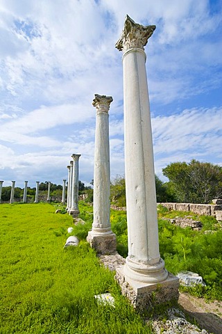 The Roman archaeological site of Salamis, Turkish part of Cyprus