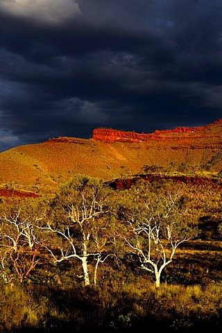 Australian outback, Pilbara, Western Australia, Australia